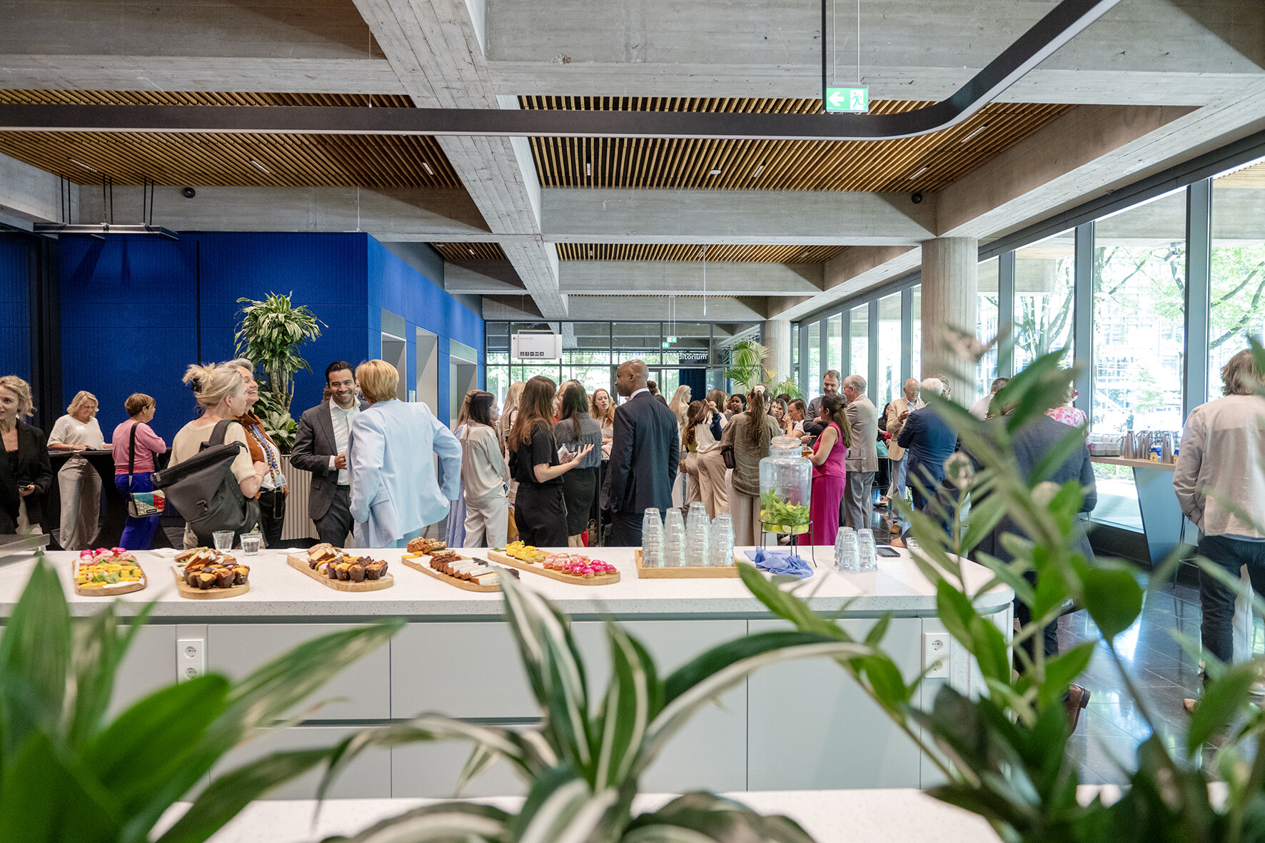 50/50 Allyship Awards